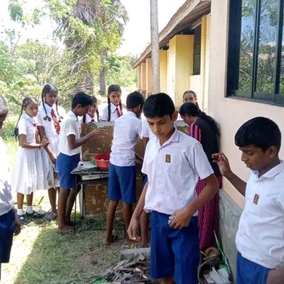 English practical experience held at school